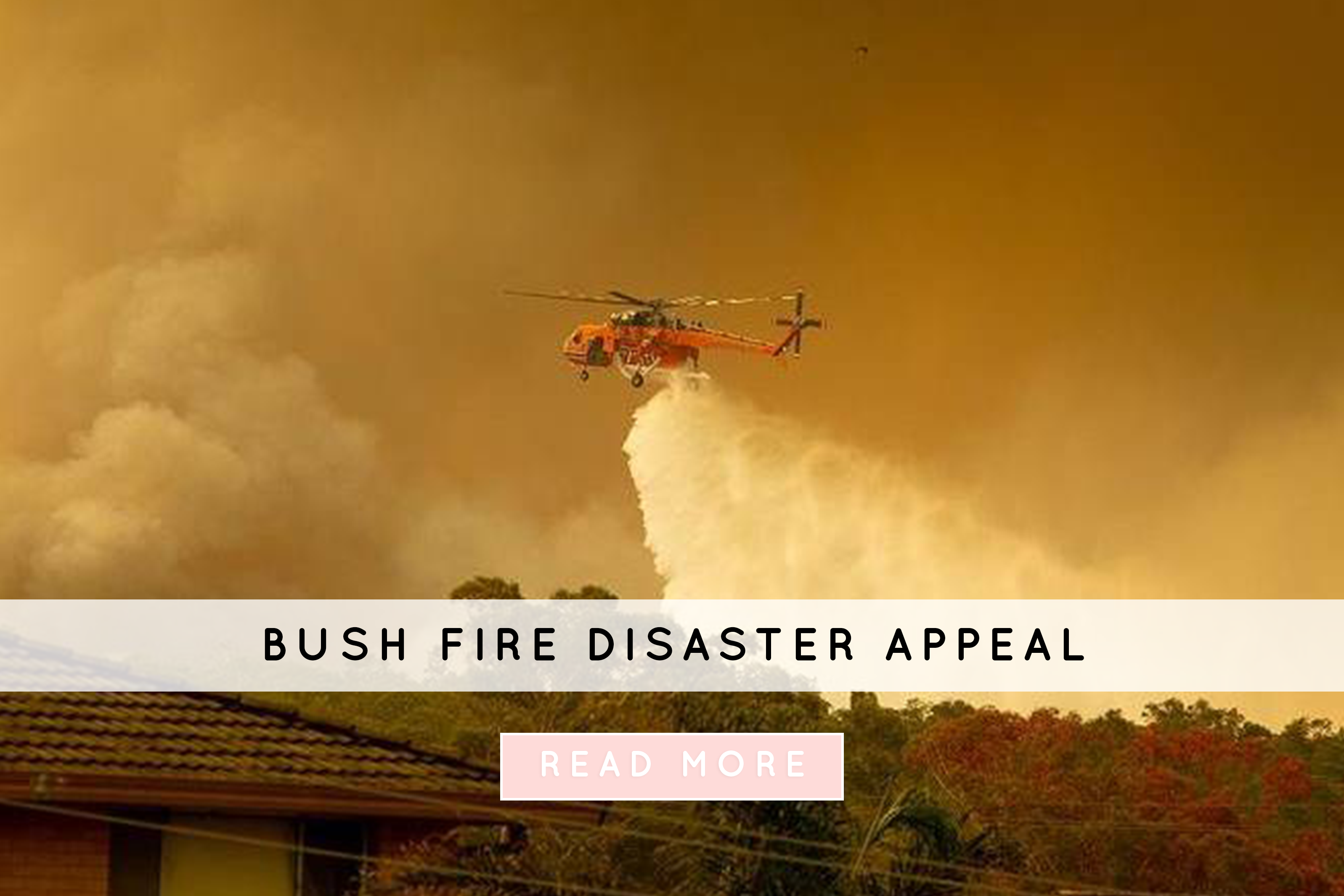 Australian Bushfire Disaster Relief: How you can help
