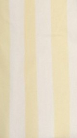 Florabel Button Up Shirt - Yellow/White Stripe - Billy J