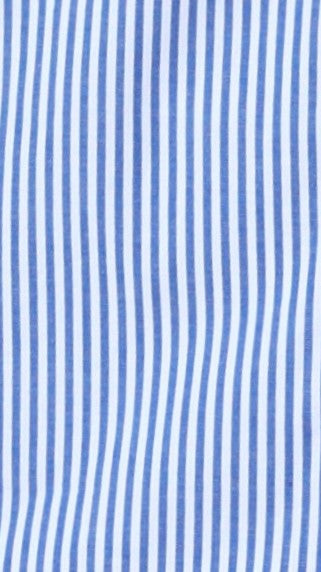 Haidera Long Sleeve Button Up Shirt - Blue Stripe