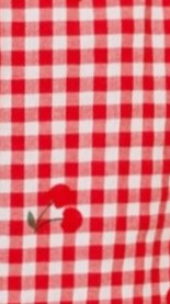 Birkley Shorts - Cherry Gingham - Billy J