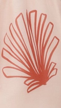 Tarni Shell Shorts - Salmon - Billy J