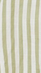 Laolani Button Up Shirt - Sage / White Stripe