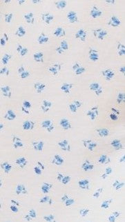 Fabienne Mini Dress - White / Blue Floral - Billy J