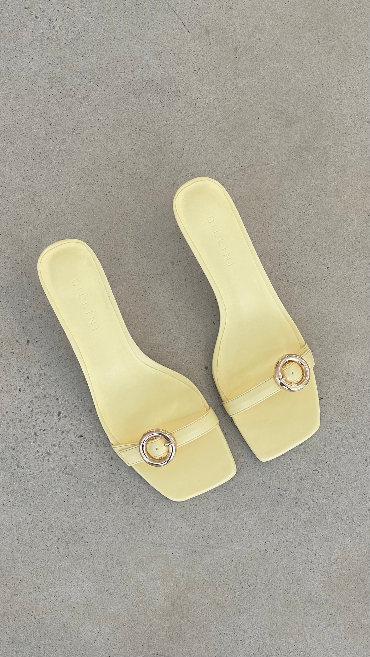 Lyon Heel - Daffodil - Billy J