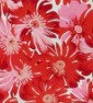 adalet-maxi-dress-red-pink-floral.jpg
