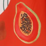 bethani-mini-dress-red-papaya-print.jpg