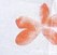 fairoze-crop-top-orange-floral.jpg