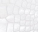 karma-bag-white-croc.jpg