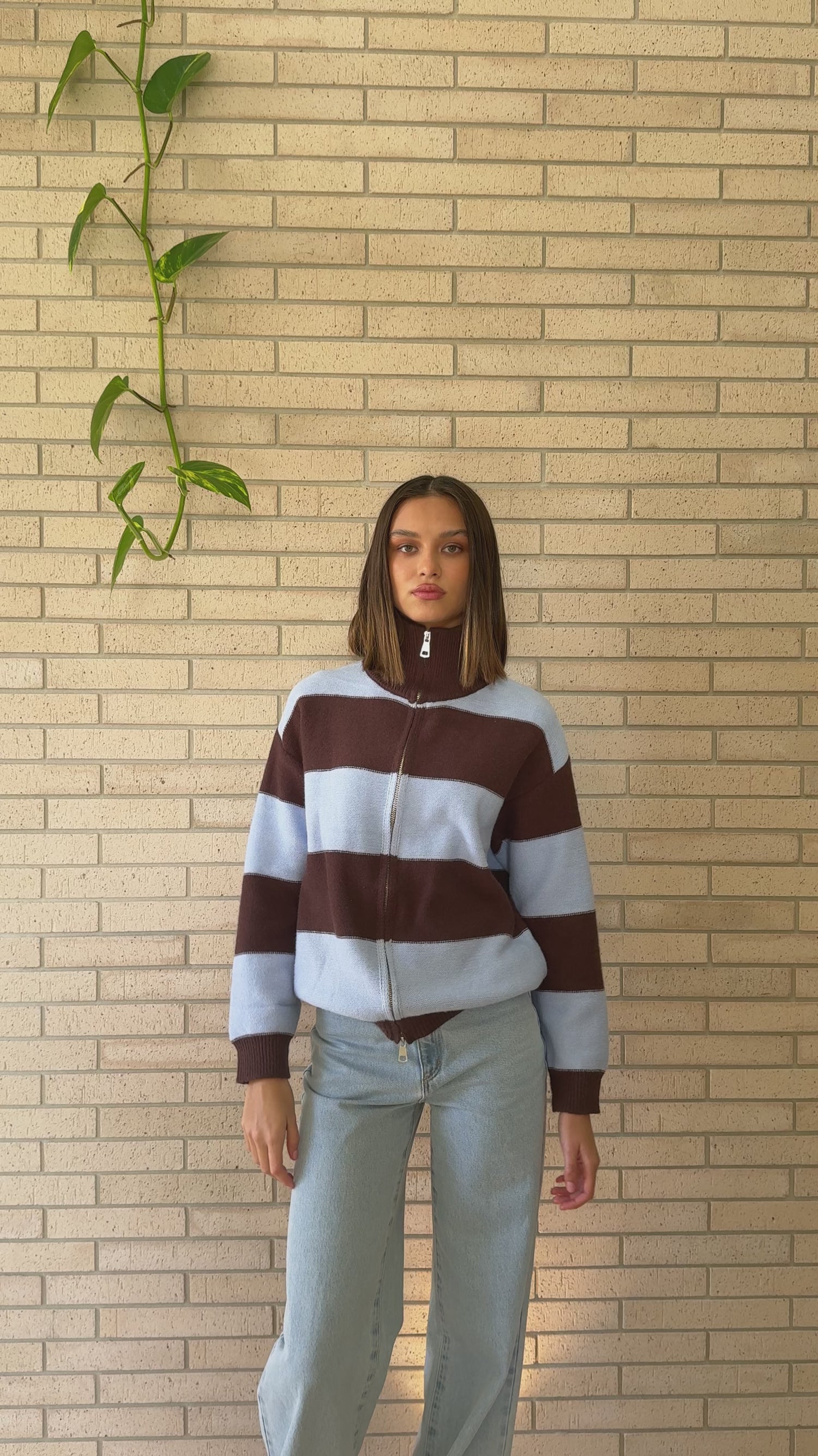 Tyla Zip-Up Sweater - Brown/Blue Stripe - Billy J