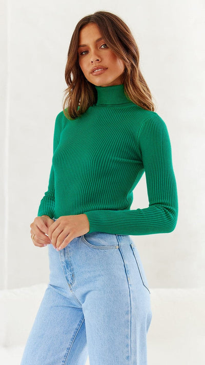 Load image into Gallery viewer, Sammi Turtle Neck Knit - Green
